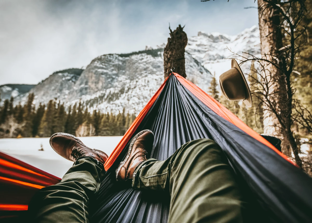 Image principale de l'article : Survie en forêt : les 8 conseils simples pour les débutants