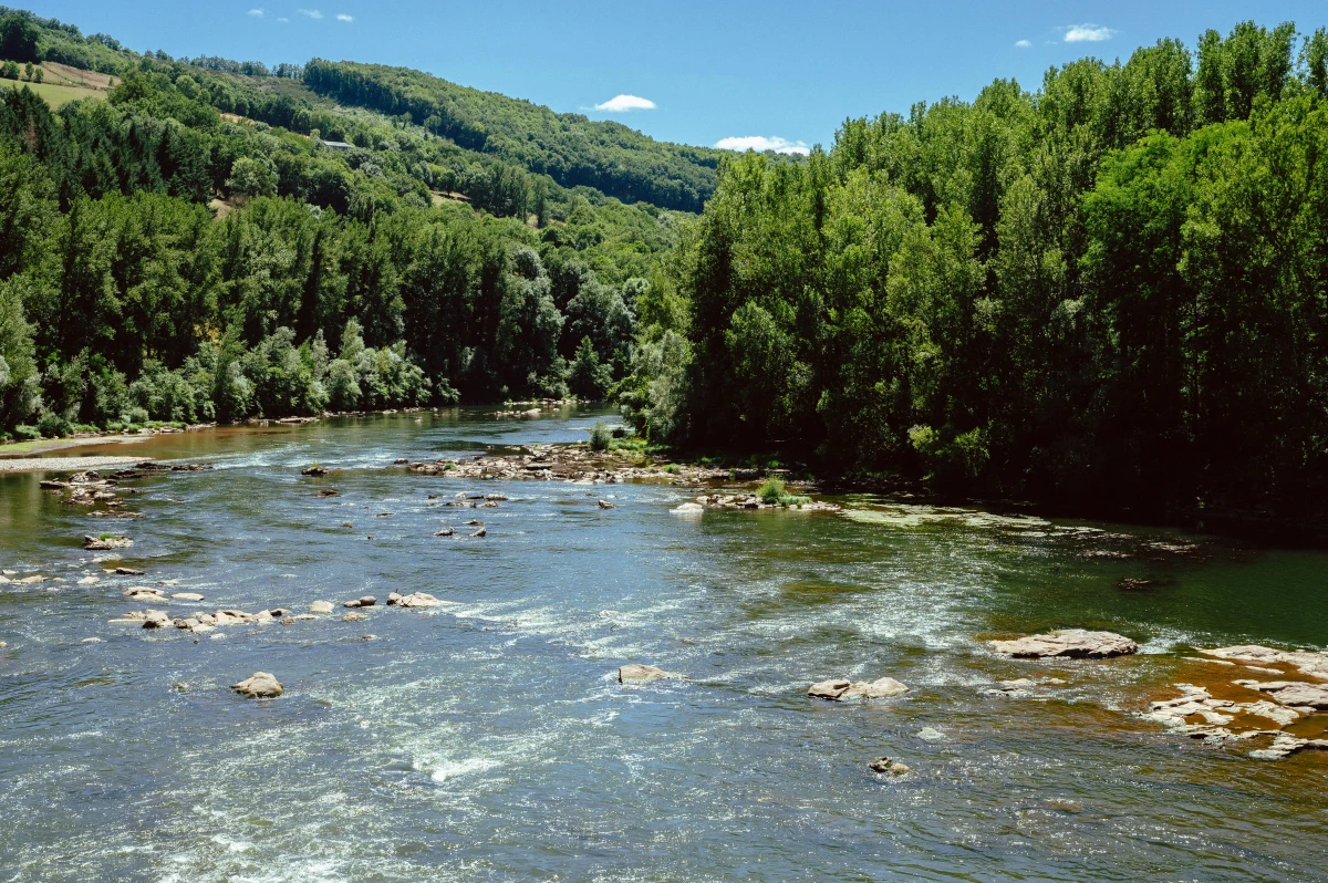 Image principale de l'article : L'Envers du Décor : Pourquoi la Nature Québécoise ne Pardonne Pas