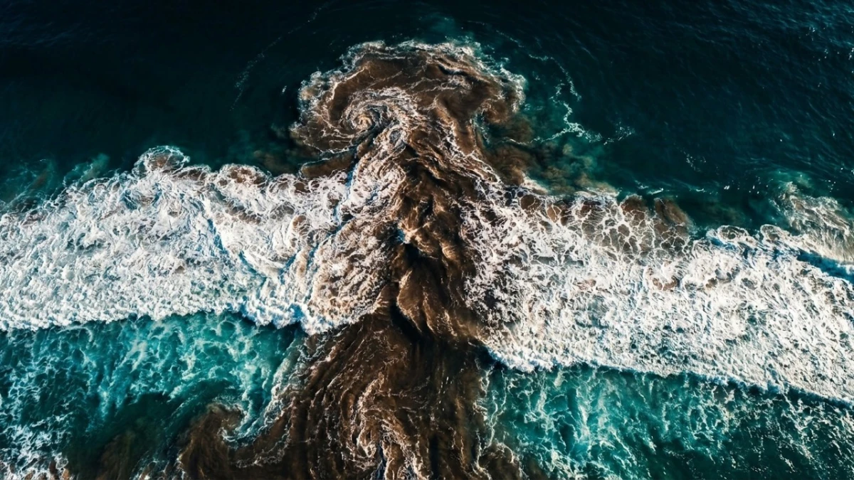 Image principale de l'article : Courant d'arrachement (rip current) : comment le repérer et en sortir vivant